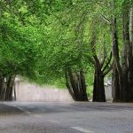 پارک توریستی کمر بسته