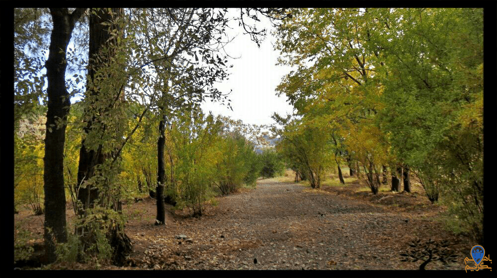 پارک جنگلی خلیل آباد
